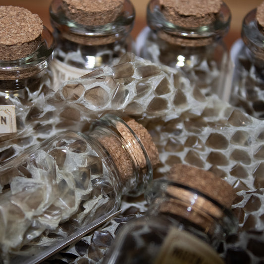 ☠️GENUINE SNAKE SKIN☠️