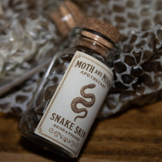 ☠️GENUINE SNAKE SKIN☠️